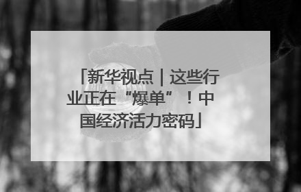 新华视点｜这些行业正在“爆单”！中国经济活力密码