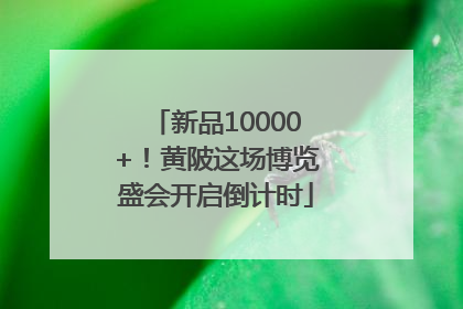 新品10000+！黄陂这场博览盛会开启倒计时