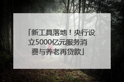 新工具落地！央行设立5000亿元服务消费与养老再贷款