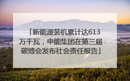 新能源装机累计达613万千瓦，申能集团在第三届碳博会发布社会责任报告