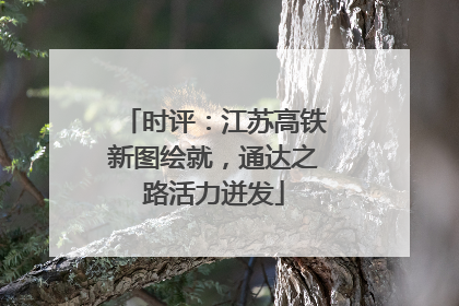 时评：江苏高铁新图绘就，通达之路活力迸发