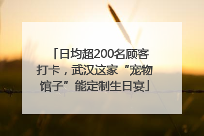 日均超200名顾客打卡，武汉这家“宠物馆子”能定制生日宴
