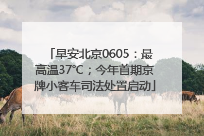 早安北京0605：最高温37℃；今年首期京牌小客车司法处置启动