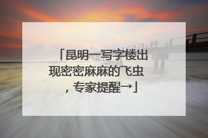 昆明一写字楼出现密密麻麻的飞虫，专家提醒→