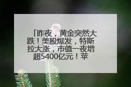 昨夜，黄金突然大跌！美股爆发，特斯拉大涨，市值一夜增超5400亿元！苹果传来大消息