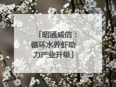 昭通威信：循环水养虾助力产业升级