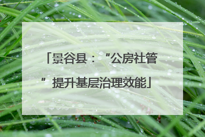 景谷县：“公房社管”提升基层治理效能