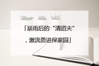 暴雨后的“清道夫”，激流勇进保家园