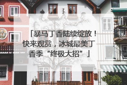 暴马丁香陆续绽放！快来观赏，冰城最美丁香季“终极大招”