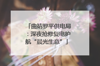 曲靖罗平供电局：深夜抢修复电护航“晨光生意”