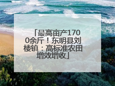 最高亩产1700余斤！东明县刘楼镇：高标准农田增效增收