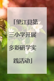 望江县第三小学开展多彩研学实践活动