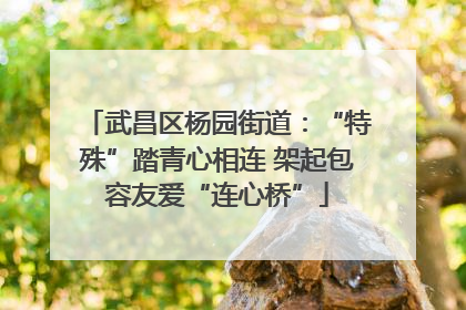 武昌区杨园街道：“特殊”踏青心相连 架起包容友爱“连心桥”