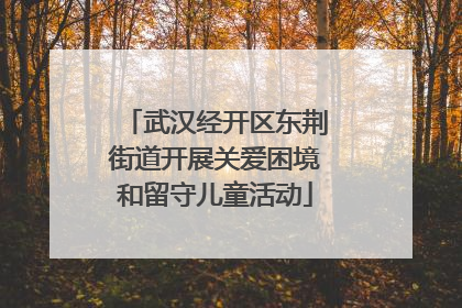 武汉经开区东荆街道开展关爱困境和留守儿童活动