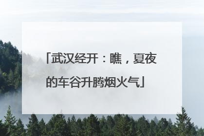 武汉经开：瞧，夏夜的车谷升腾烟火气