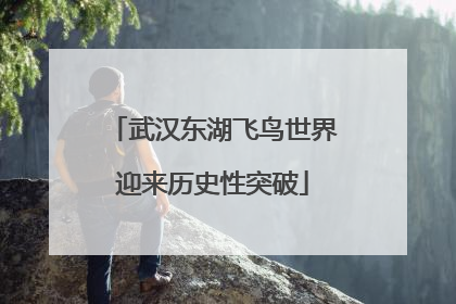 武汉东湖飞鸟世界迎来历史性突破