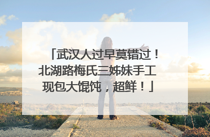 武汉人过早莫错过！北湖路梅氏三姊妹手工现包大馄饨，超鲜！