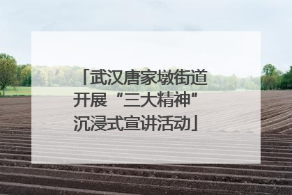 武汉唐家墩街道开展“三大精神”沉浸式宣讲活动