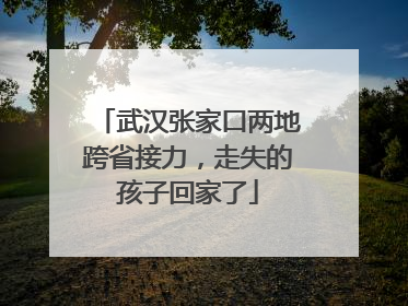 武汉张家口两地跨省接力，走失的孩子回家了