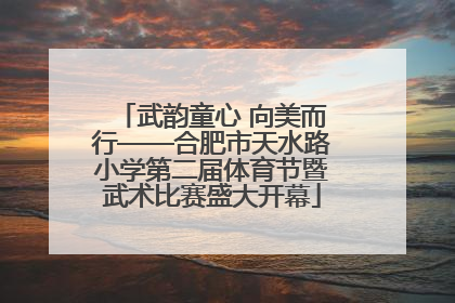武韵童心 向美而行——合肥市天水路小学第二届体育节暨武术比赛盛大开幕