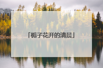 栀子花开的清晨