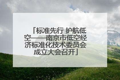 标准先行 护航低空——南京市低空经济标准化技术委员会成立大会召开