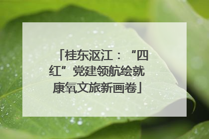 桂东沤江：“四红”党建领航绘就康氧文旅新画卷
