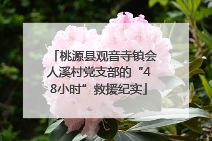 桃源县观音寺镇会人溪村党支部的“48小时”救援纪实
