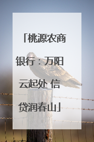 桃源农商银行：万阳云起处 信贷润春山