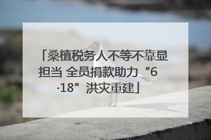 桑植税务人不等不靠显担当 全员捐款助力“6·18”洪灾重建