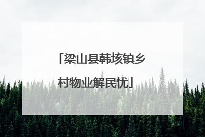 梁山县韩垓镇乡村物业解民忧