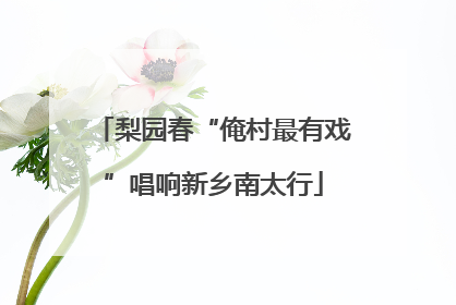 梨园春“俺村最有戏”唱响新乡南太行