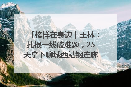 榜样在身边｜王林：扎根一线破难题，25天拿下聊城西站钢连廊“硬核”工程