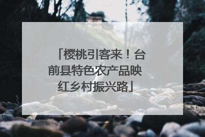 樱桃引客来！台前县特色农产品映红乡村振兴路
