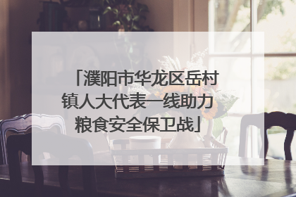 濮阳市华龙区岳村镇人大代表一线助力粮食安全保卫战