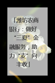 潍坊农商银行：做好“三夏”金融服务，助力“麦”向丰收