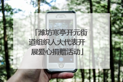 潍坊寒亭开元街道组织人大代表开展爱心捐赠活动