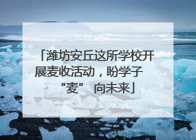 潍坊安丘这所学校开展麦收活动，盼学子 “麦” 向未来