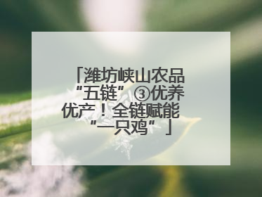 潍坊峡山农品“五链”③优养优产！全链赋能“一只鸡”
