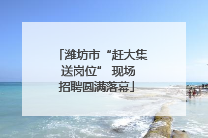 潍坊市“赶大集 送岗位” 现场招聘圆满落幕