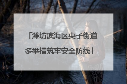 潍坊滨海区央子街道多举措筑牢安全防线