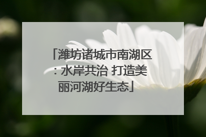 潍坊诸城市南湖区：水岸共治 打造美丽河湖好生态