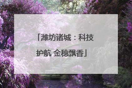 潍坊诸城：科技护航 金穗飘香