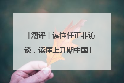 潮评丨读懂任正非访谈，读懂上升期中国