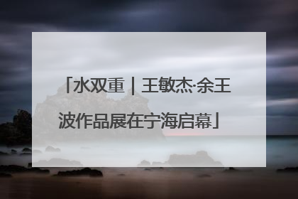 水双重｜王敏杰·余王波作品展在宁海启幕