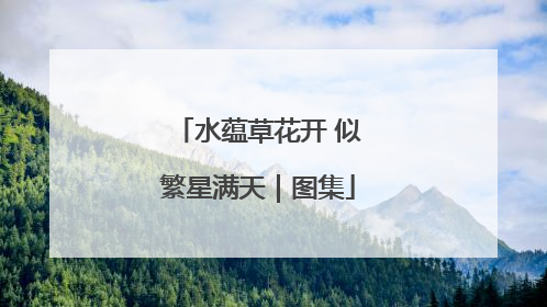 水蕴草花开 似繁星满天｜图集
