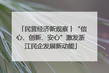 民营经济新观察丨“信心、创新、安心”激发浙江民企发展新动能