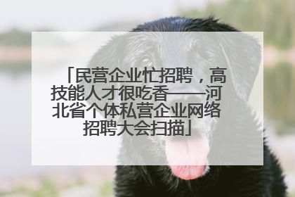 民营企业忙招聘，高技能人才很吃香——河北省个体私营企业网络招聘大会扫描