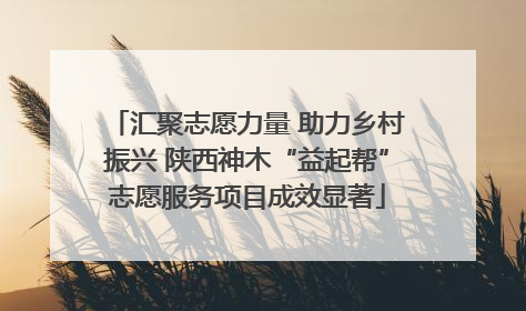 汇聚志愿力量 助力乡村振兴 陕西神木“益起帮”志愿服务项目成效显著