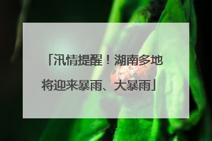 汛情提醒！湖南多地将迎来暴雨、大暴雨